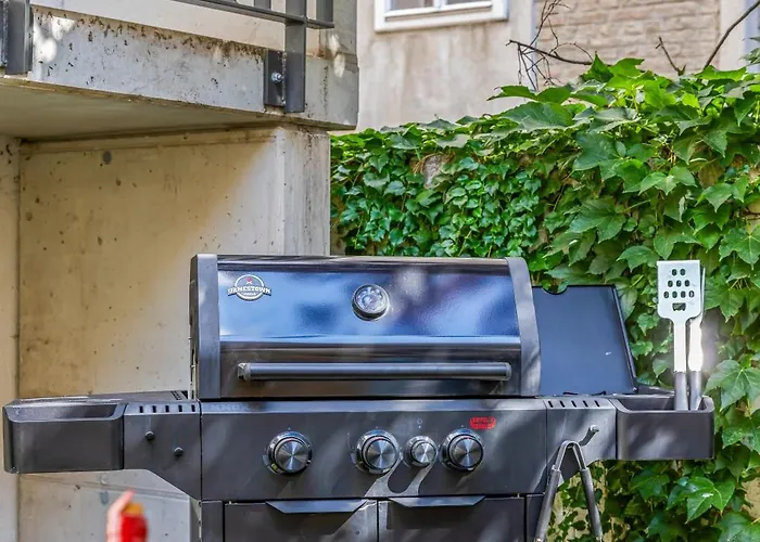 Luxury Garden - Bbq - Netflix * Viyana